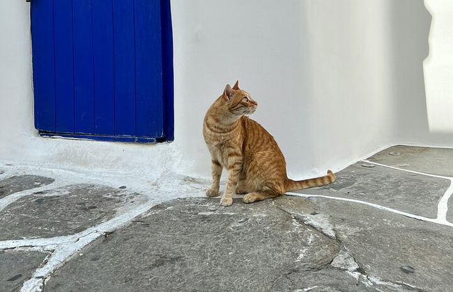 Selbstgeführtes Sherlock Holmes-Krimispiel auf Mykonos - Foto 9