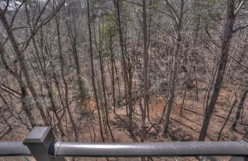 Top of the Line Treehouse Near Helen, Georgia - Foto 25