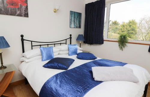 Blaenywawr Annexe - Foto 8