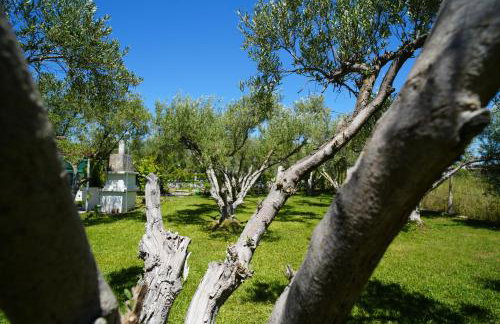 Dream in Chalkidiki 2 bedroom villa with garden - Foto 79