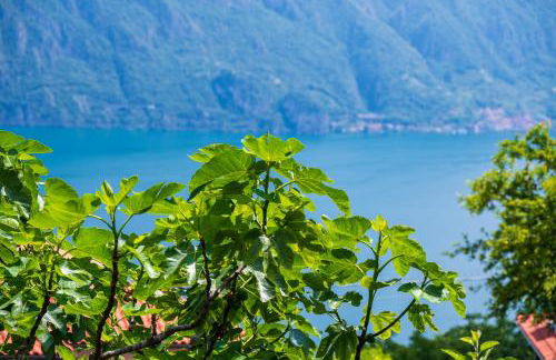 Italian Vacation Homes - Garden Lake Iseo - Foto 31