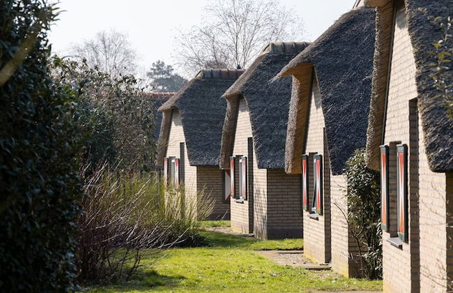 Bungalow in Veluwe Nature Park Retreat - Photo 28