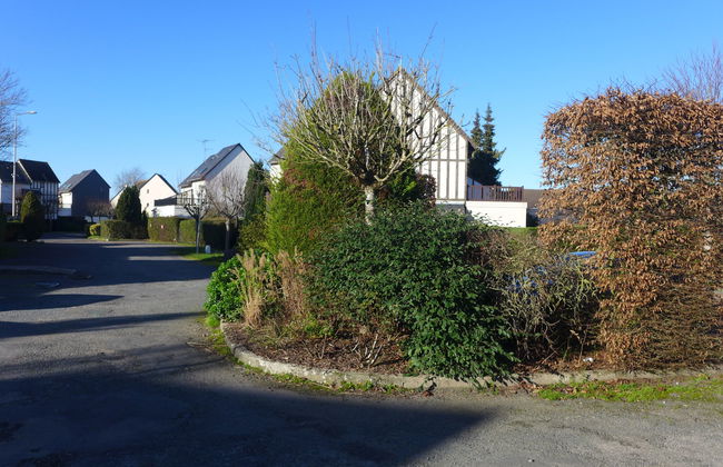 Les christophines - Foto 14