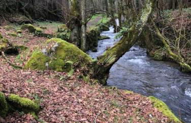 Casinha Estrela da Encosta - Gerês - Foto 16