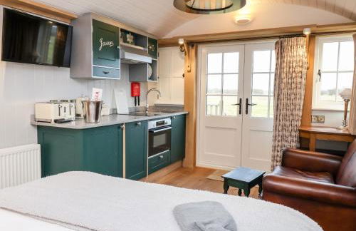 Amy Johnson - Foto 5