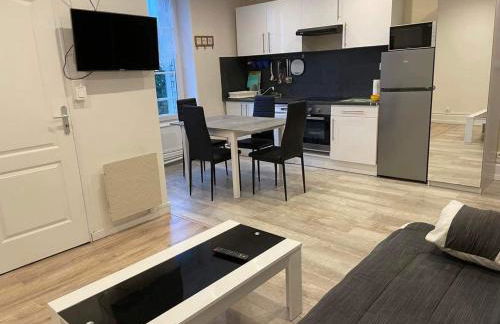 Appart meublé 45m2 calme et lumineux au Continental - Foto 1