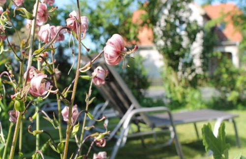 Landhauswohnung in Kroepelin mit Grossem Garten - Foto 62