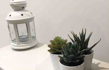 Stans Place Self Catering Cottage - Foto 20