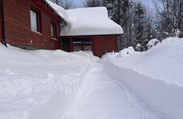 Pod Srebrzystym Świerkiem - Jacuzzi - Foto 50