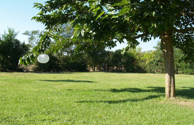 Masseria La Torre - Foto 43