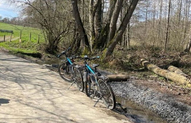 Maison Heurelijk Modern Finished Near Somme-leuze - Foto 47