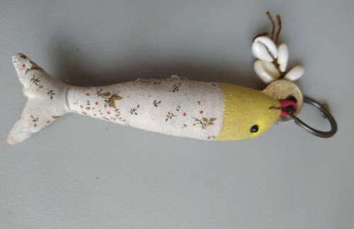 Les gîtes de Vensac - Foto 56