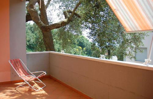 Residence Belvedere - Foto 38