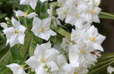 La Maison du Cocher - Studio climatisé en Hypercentre - Photo 15