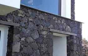 Dos Violetas - Foto 6