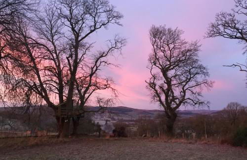 Willow Cottage, Gilchristland Organic Farm - Foto 19