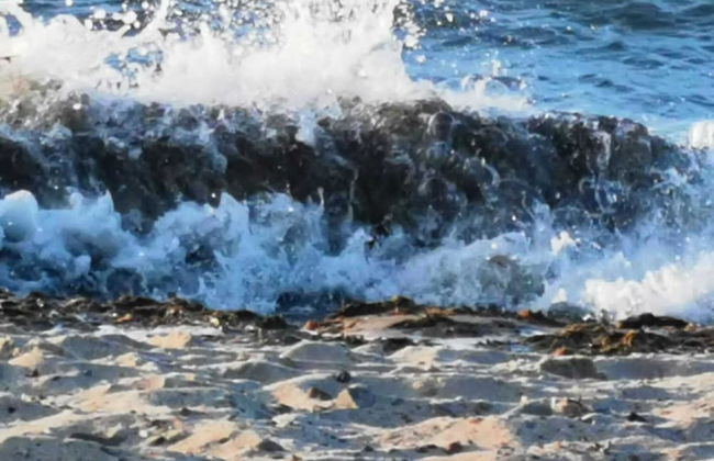 Seeseite 100m - Foto 29