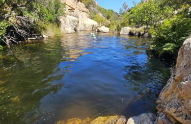 La flabellina blu - Foto 54