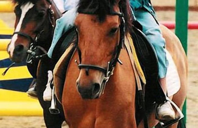 Podere dell'Anselmo - Foto 68