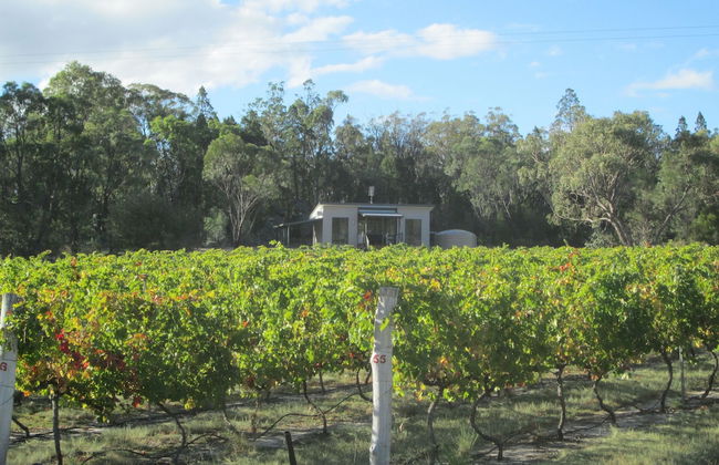 Just Red Wines Vineyard Cabins - Photo 1