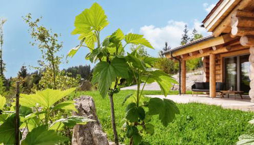 Franz Josefs Chalets - Foto 2