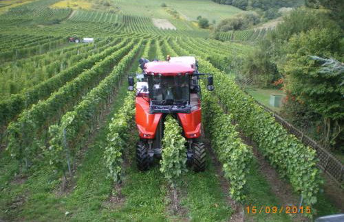 Ferienwohnung Sausen - Foto 17