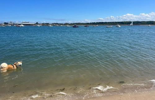 Maison face à la mer - Photo 19