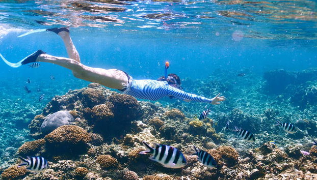Ammirando gli affascinanti fondali dell'isola di Tiran