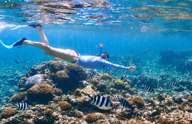 Excursão de barco e snorkel na Ilha Tiran - Foto 5