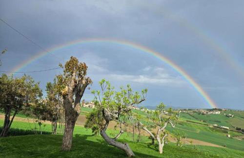 Inviting Holiday Home in San Costanzo With Swimming Pool - Foto 6