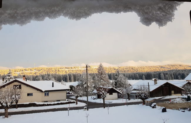 Appartement - Les Poingnats - Foto 12