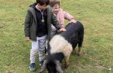 Hertford farm Woodland cabin pet friendly firepit bbq - Foto 49