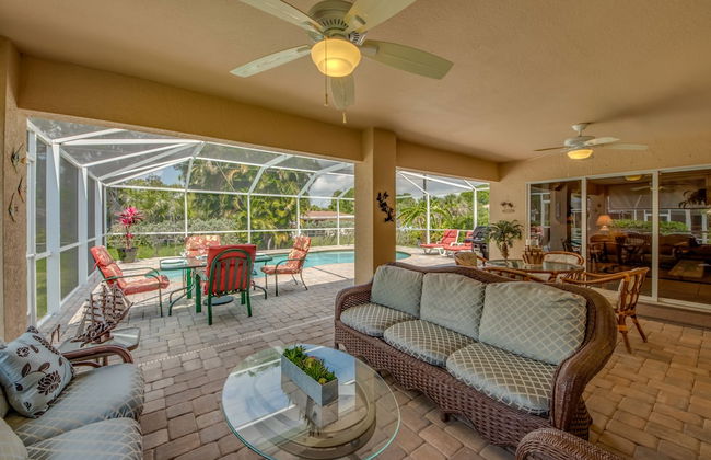 House Palm Tree by Vacationhit - Foto 20