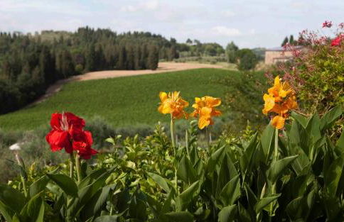 Fattoria Poggio Capponi - Foto 8