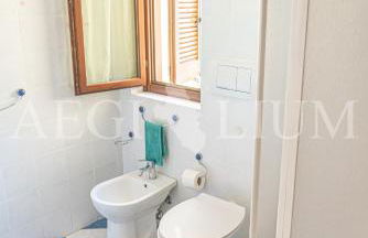 Giglio Viola - Foto 10