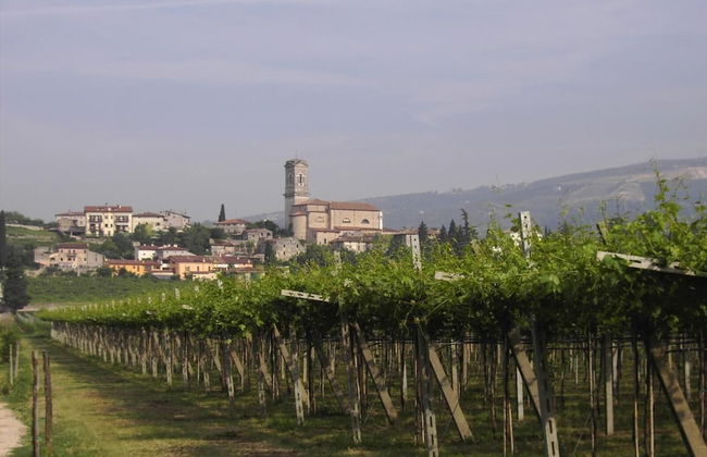 Agriturismo El Crear - Photo 41