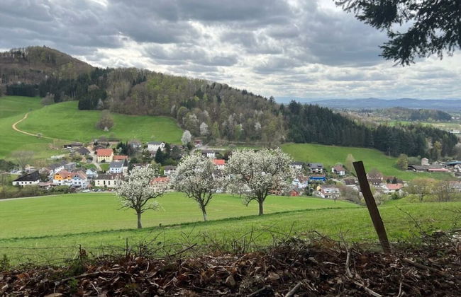 Uitzicht op het Zwembad - Foto 18