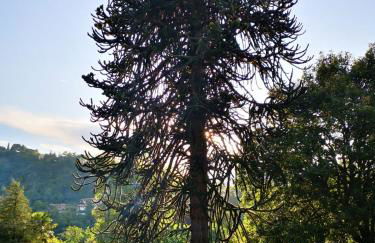 Casa della Gioia - Foto 57