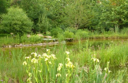 Gutshaus Altbauhof - Foto 29