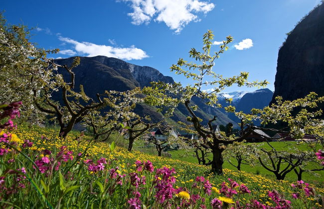 Visit Undredal - Foto 78