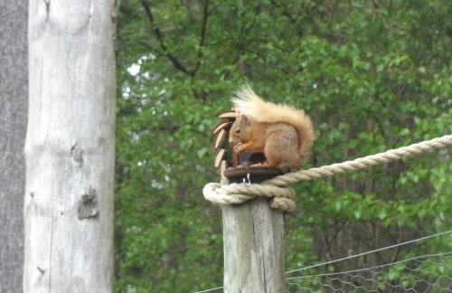 Sawmill Cottage - Foto 14