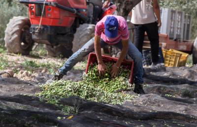 Azienda Agricola Mandranova - Foto 57
