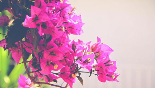 El Penell Apartament Ponent - Foto 3