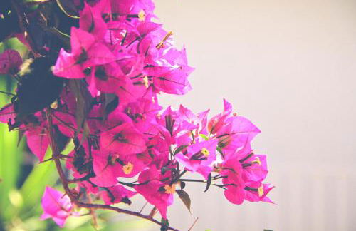 El Penell Apartament Ponent - Foto 3