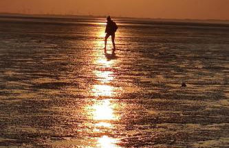 Haus JADEHUUS - Foto 29