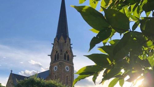 Ferienoase am Schwürbitzer Dom - Foto 2, Garden