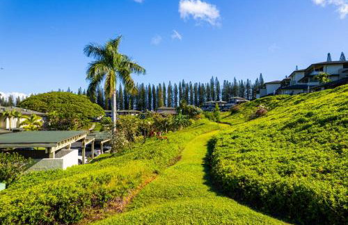 Kapalua Golf Villas 2 Free cars KBM Resorts Large Bedrooms 2 Units 3 Bedrooms ML-2189 - Foto 71