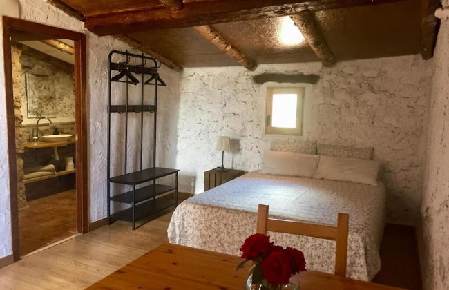 Mas de Leon - Photo 9