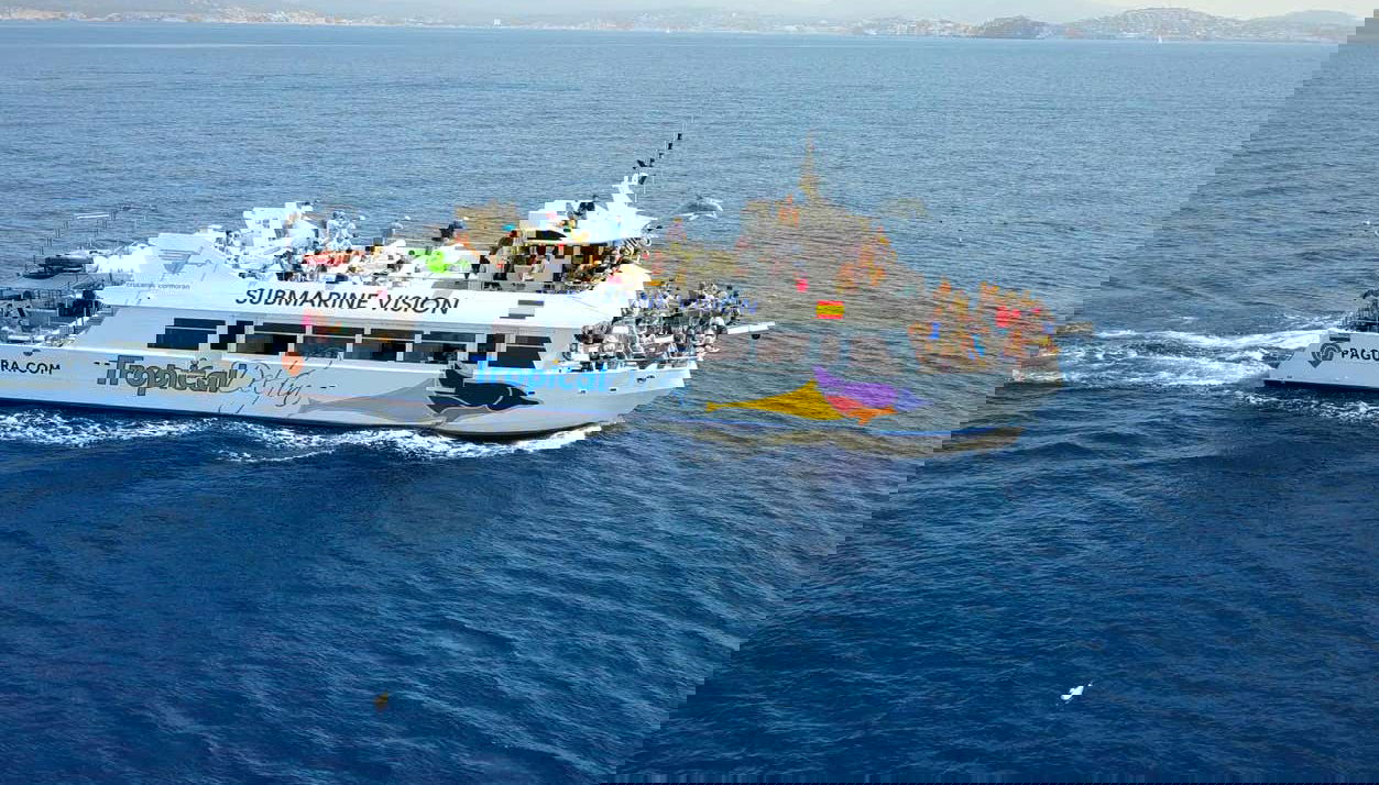 Dolphin Watching in South Mallorca - Foto 1