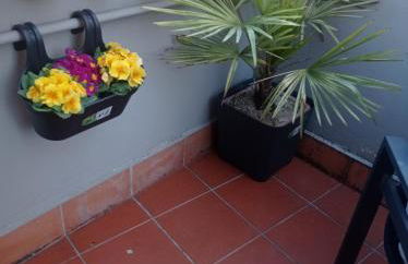 Gocce di Rugiada - Photo 17